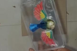 Moving Wind Swinging Bird Wings